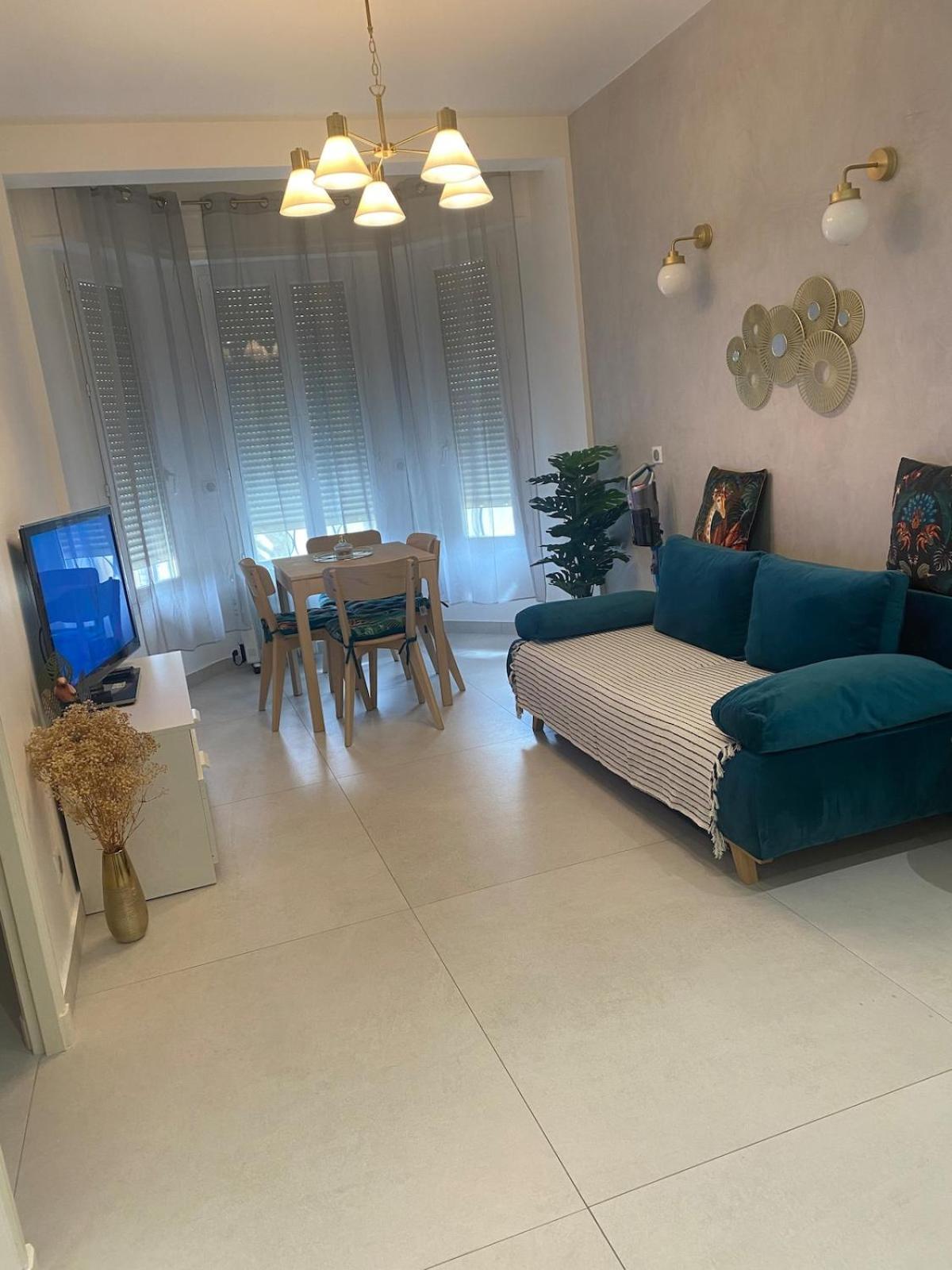 Apartment Zgondoiu Nizza